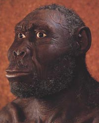 Image hosted by TinyPic.com